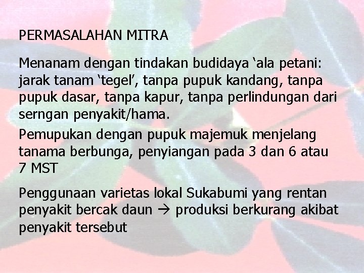 PERMASALAHAN MITRA Menanam dengan tindakan budidaya ‘ala petani: jarak tanam ‘tegel’, tanpa pupuk kandang,