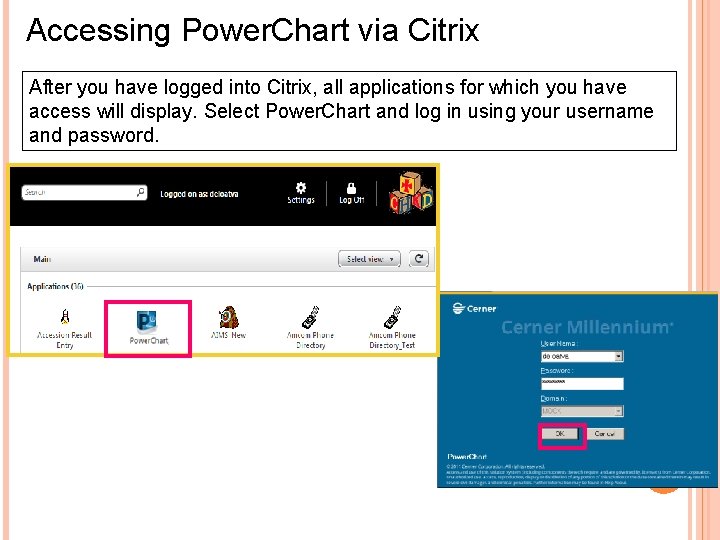 Accessing Power. Chart via Citrix After you have logged into Citrix, all applications for