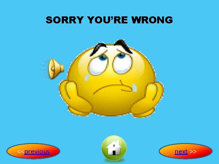 SORRY YOU’RE WRONG <<previous next >> 