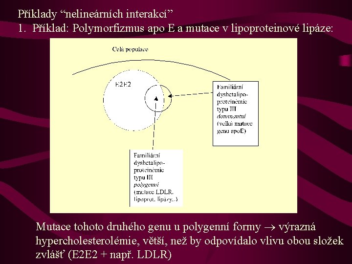 Příklady “nelineárních interakcí” 1. Příklad: Polymorfizmus apo E a mutace v lipoproteinové lipáze: Mutace