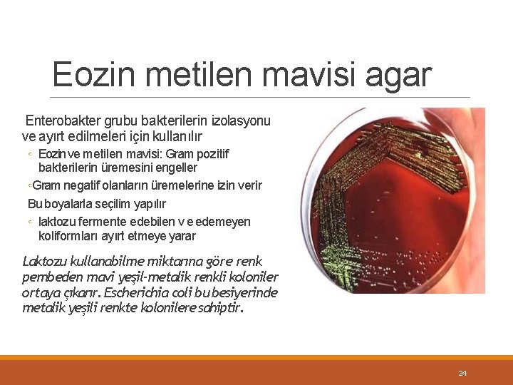 Eozin metilen mavisi agar Enterobakter grubu bakterilerin izolasyonu ve ayırt edilmeleri için kullanılır ◦