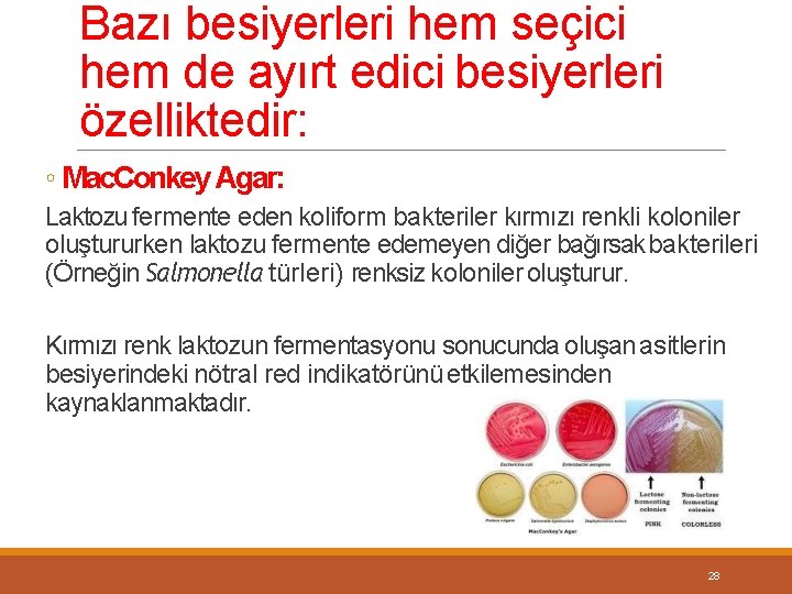 Bazı besiyerleri hem seçici hem de ayırt edici besiyerleri özelliktedir: ◦ Mac. Conkey Agar: