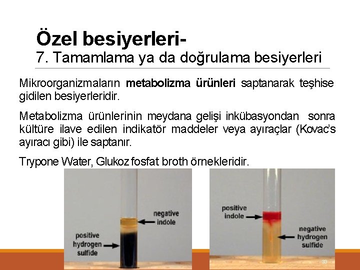 Özel besiyerleri- 7. Tamamlama ya da doğrulama besiyerleri Mikroorganizmaların metabolizma ürünleri saptanarak teşhise gidilen