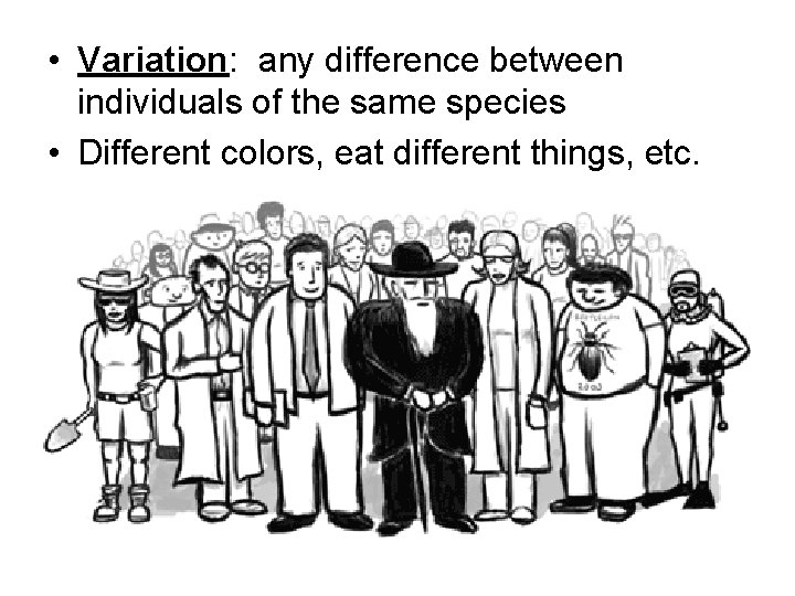  • Variation: any difference between individuals of the same species • Different colors,