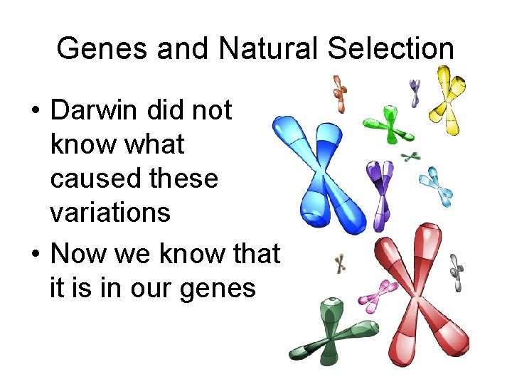 Genes and Natural Selection • Darwin did not know what caused these variations •