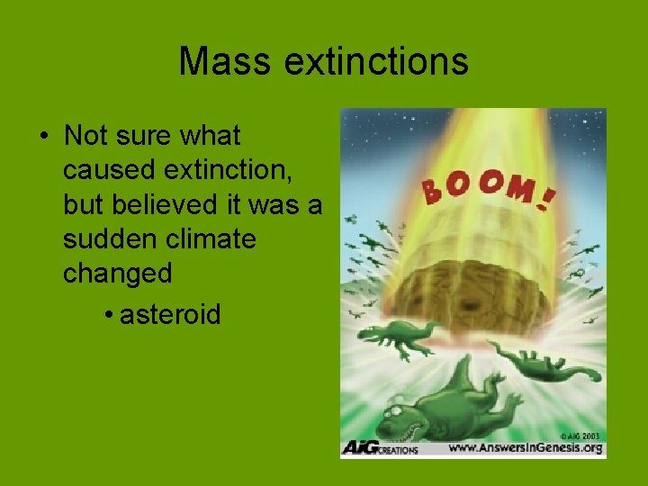 Mass extinctions • Not sure what caused extinction, but believed it was a sudden