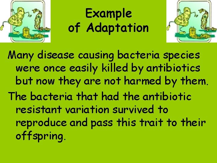 Example of Adaptation Many disease causing bacteria species were once easily killed by antibiotics