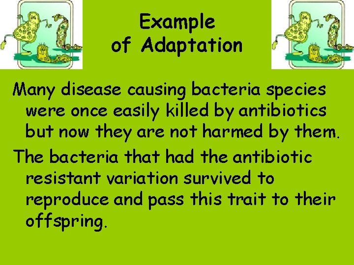 Example of Adaptation Many disease causing bacteria species were once easily killed by antibiotics