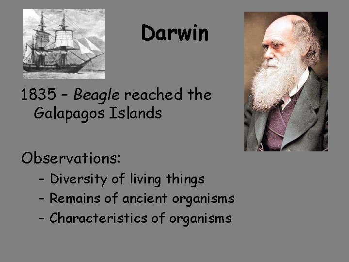 Darwin 1835 – Beagle reached the Galapagos Islands Observations: – Diversity of living things