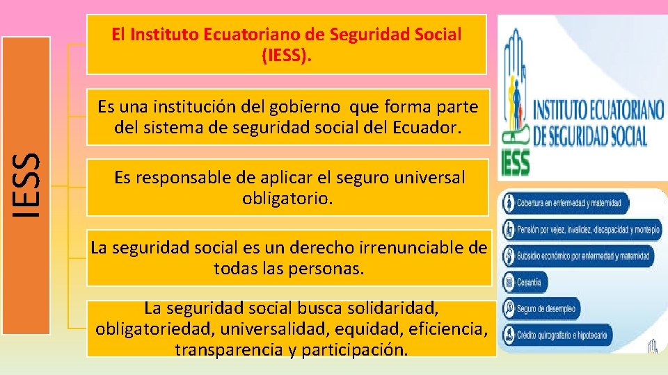 IESS El Instituto Ecuatoriano de Seguridad Social (IESS). Es una institución del gobierno que