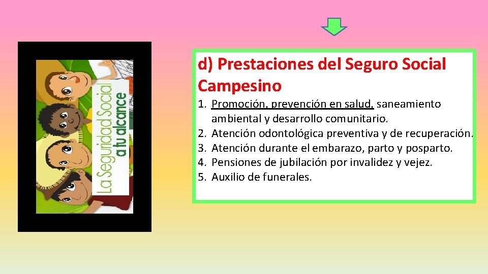 d) Prestaciones del Seguro Social Campesino 1. Promoción, prevención en salud, saneamiento ambiental y