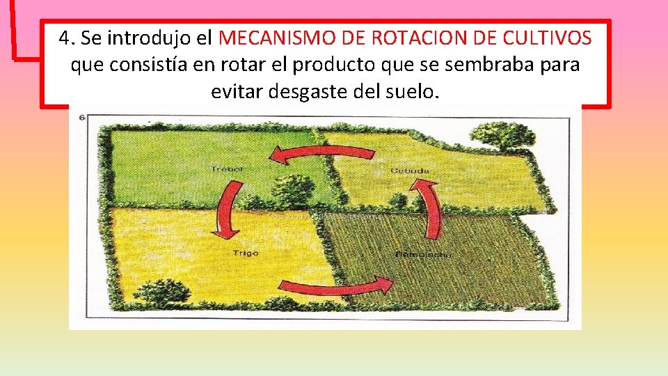 4. Se introdujo el MECANISMO DE ROTACION DE CULTIVOS que consistía en rotar el