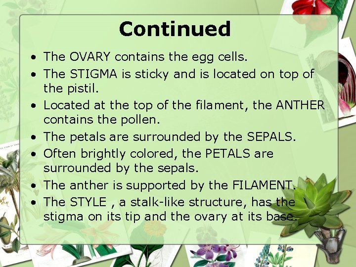 Continued • The OVARY contains the egg cells. • The STIGMA is sticky and
