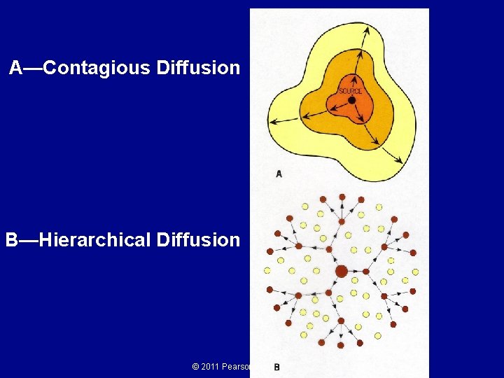 A—Contagious Diffusion B—Hierarchical Diffusion © 2011 Pearson Education, Inc. 