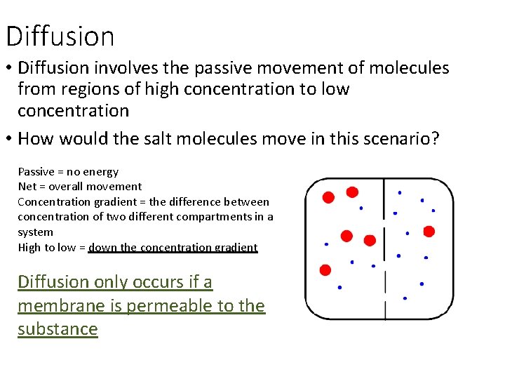 Diffusion • Diffusion involves the passive movement of molecules from regions of high concentration