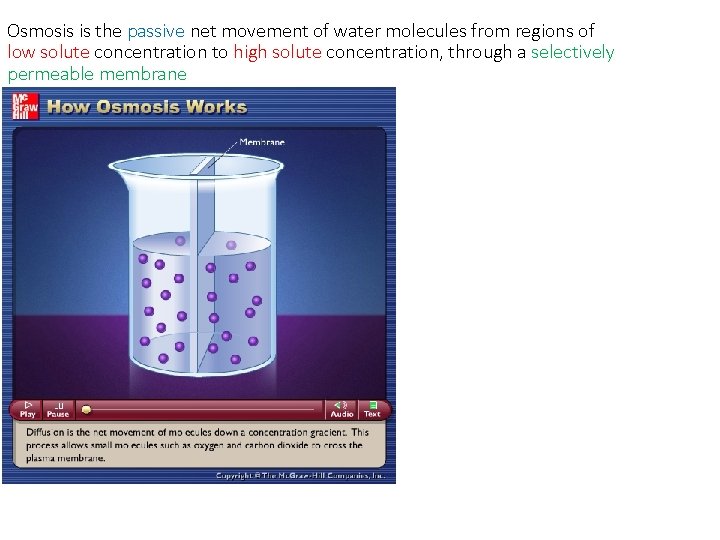 Osmosis is the passive net movement of water molecules from regions of low solute
