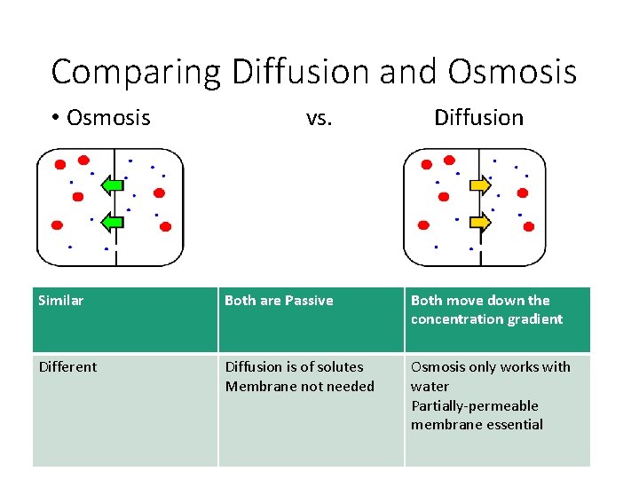 Comparing Diffusion and Osmosis • Osmosis vs. Diffusion Similar Both are Passive Both move