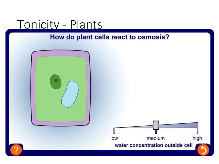 Tonicity - Plants 