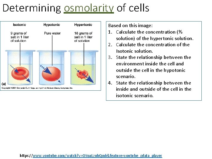 Determining osmolarity of cells Based on this image: 1. Calculate the concentration (% solution)