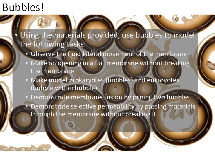 Bubbles! • Using the materials provided, use bubbles to model the following tasks: •