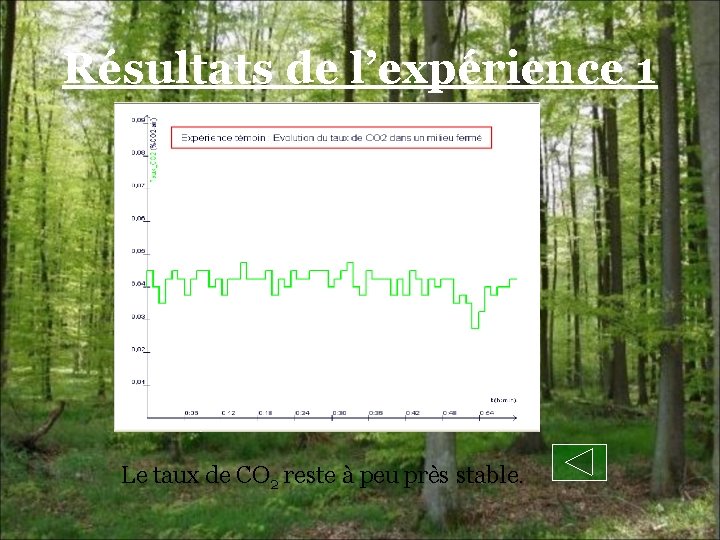 Résultats de l’expérience 1 Le taux de CO 2 reste à peu près stable.