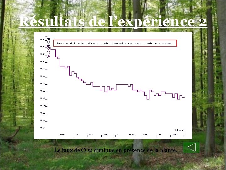 Résultats de l’expérience 2 Le taux de CO 2 diminue en présence de la