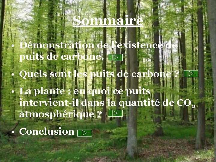 Sommaire • Démonstration de l’existence de puits de carbone. • Quels sont les puits