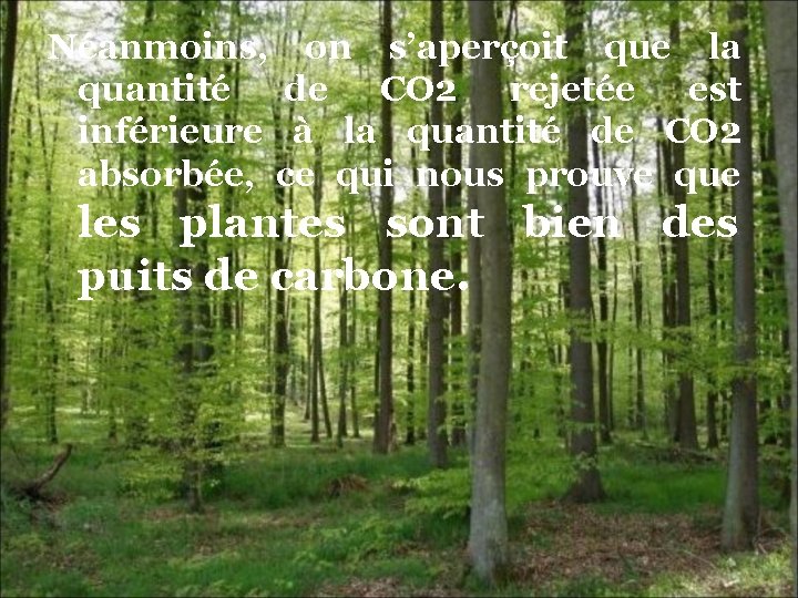 Néanmoins, on s’aperçoit que la quantité de CO 2 rejetée est inférieure à la