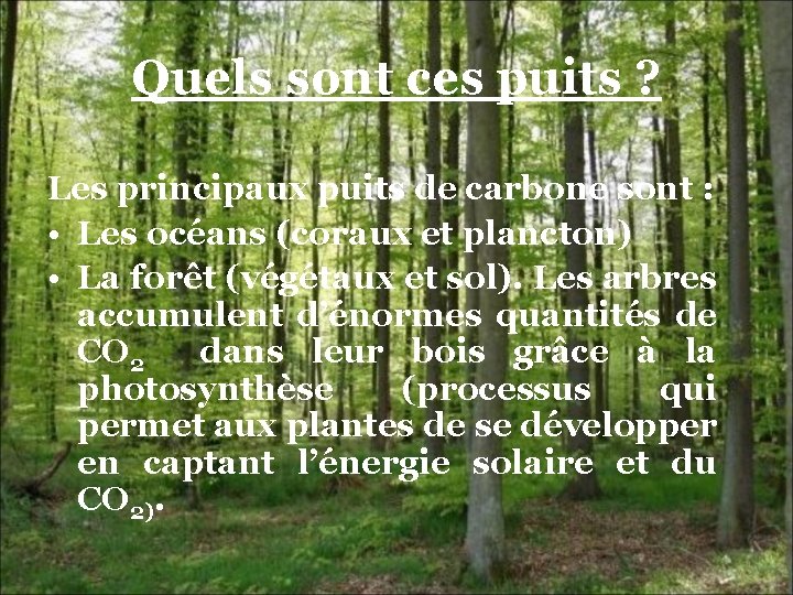 Quels sont ces puits ? Les principaux puits de carbone sont : • Les