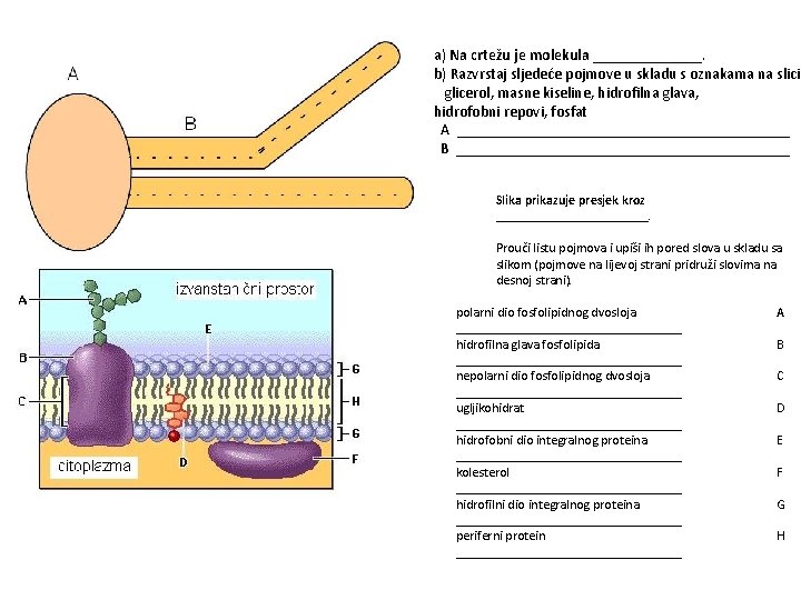 a) Na crtežu je molekula _______. b) Razvrstaj sljedeće pojmove u skladu s oznakama