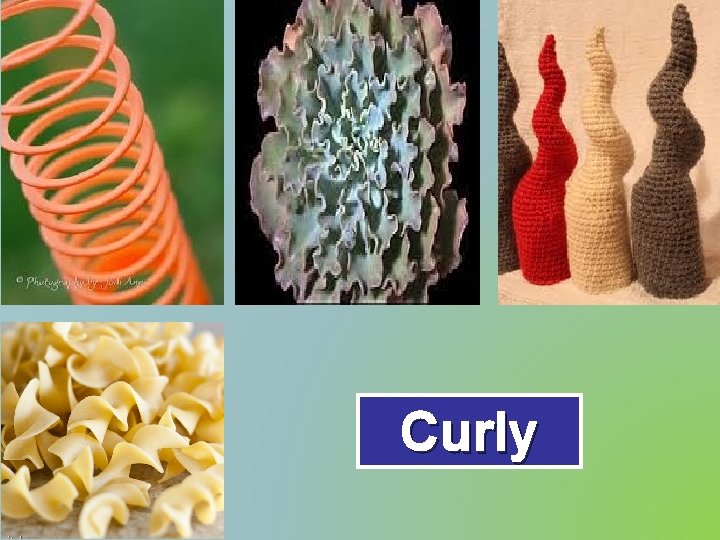 Curly 