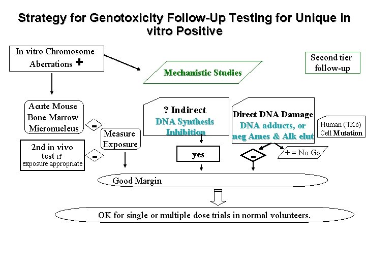 Strategy for Genotoxicity Follow-Up Testing for Unique in vitro Positive In vitro Chromosome Aberrations