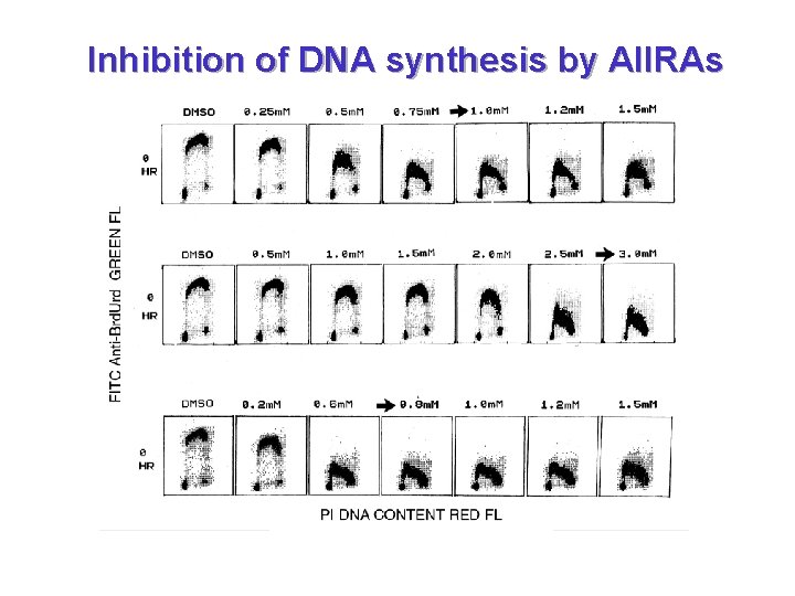 Inhibition of DNA synthesis by AIIRAs 