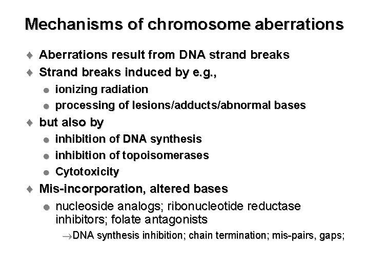 Mechanisms of chromosome aberrations ¨ Aberrations result from DNA strand breaks ¨ Strand breaks