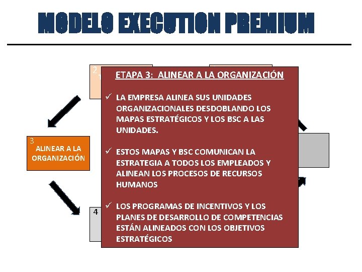 Estrategia Empresarial: MODELO EXECUTION PREMIUM Integración con la Operación 2 1 ETAPA ORGANIZACIÓN TRADUCIR