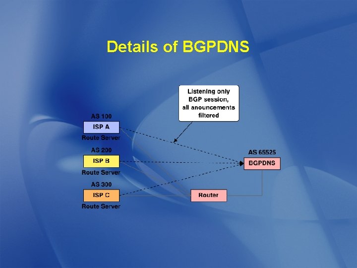 Details of BGPDNS 