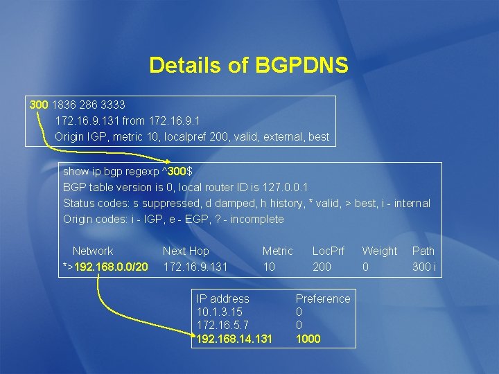 Details of BGPDNS 300 1836 286 3333 172. 16. 9. 131 from 172. 16.