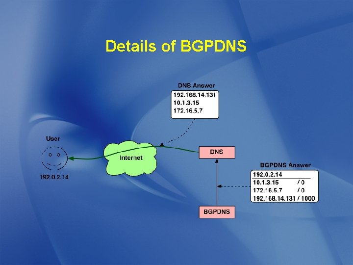 Details of BGPDNS 