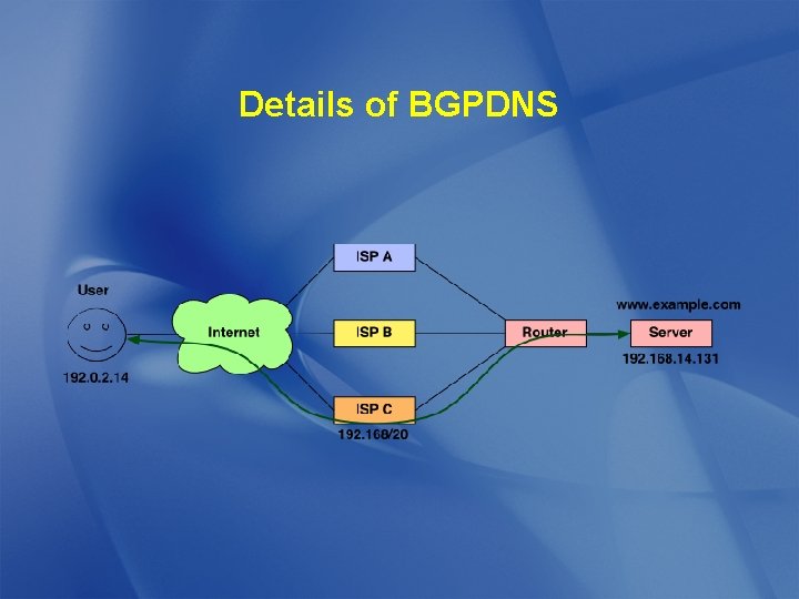 Details of BGPDNS 