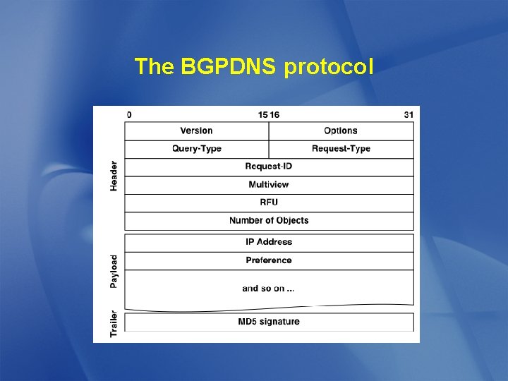 The BGPDNS protocol 