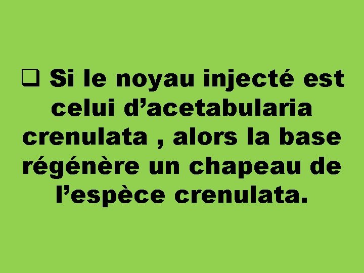 q Si le noyau injecté est celui d’acetabularia crenulata , alors la base régénère