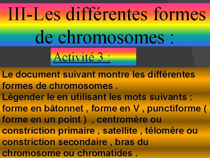 III-Les différentes formes de chromosomes : Activité 3 : Le document suivant montre les