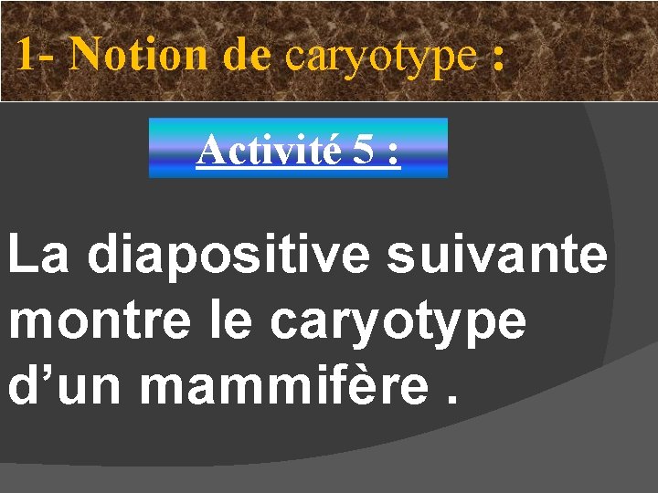 1 - Notion de caryotype : Activité 5 : La diapositive suivante montre le