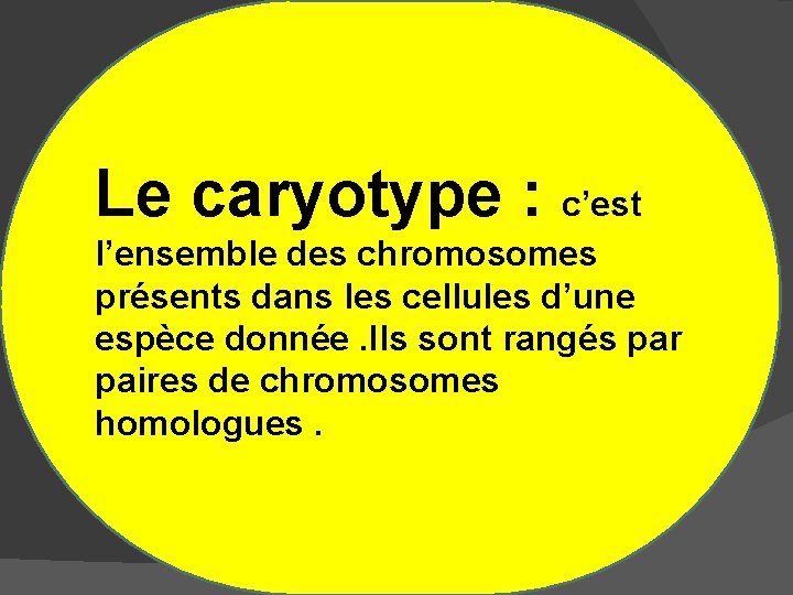 Le caryotype : c’est l’ensemble des chromosomes présents dans les cellules d’une espèce donnée.