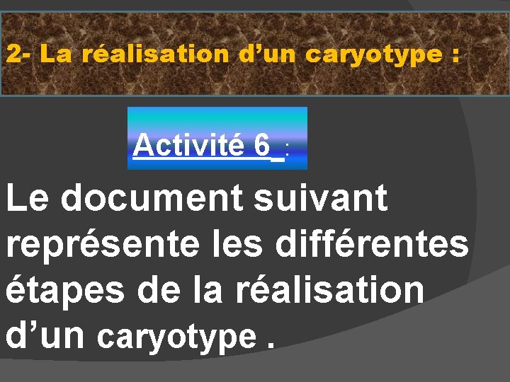 2 - La réalisation d’un caryotype : Activité 6 : Le document suivant représente