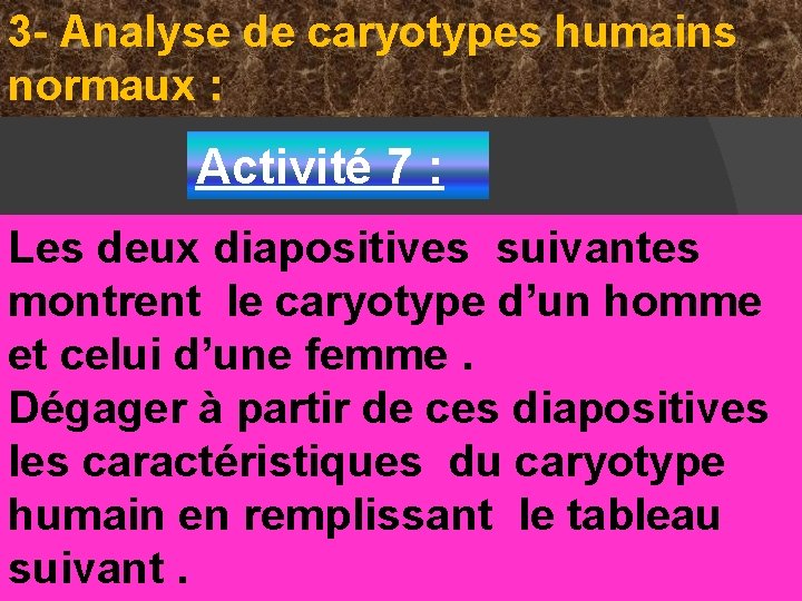 3 - Analyse de caryotypes humains normaux : Activité 7 : Les deux diapositives