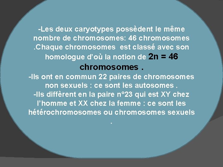 -Les deux caryotypes possèdent le même nombre de chromosomes: 46 chromosomes. Chaque chromosomes est