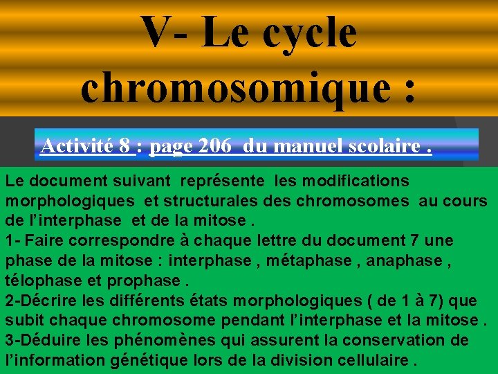 V- Le cycle chromosomique : Activité 8 : page 206 du manuel scolaire. Le