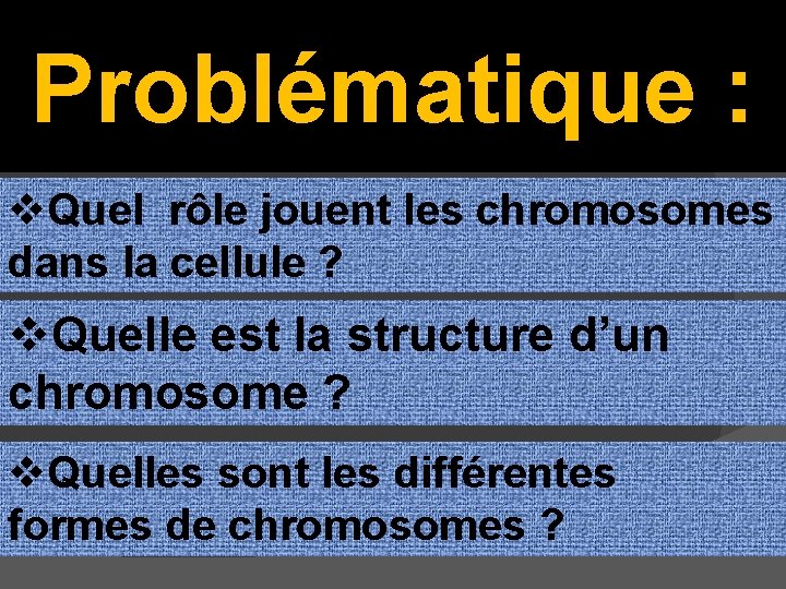 Problématique : v. Quel rôle jouent les chromosomes dans la cellule ? v. Quelle