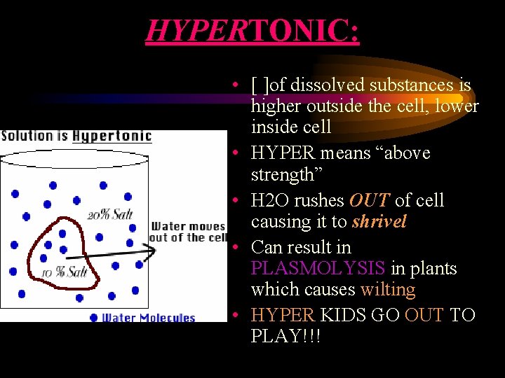 HYPERTONIC: • [ ]of dissolved substances is higher outside the cell, lower inside cell